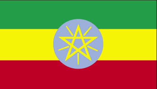 Container Shipping from to Ethiopia